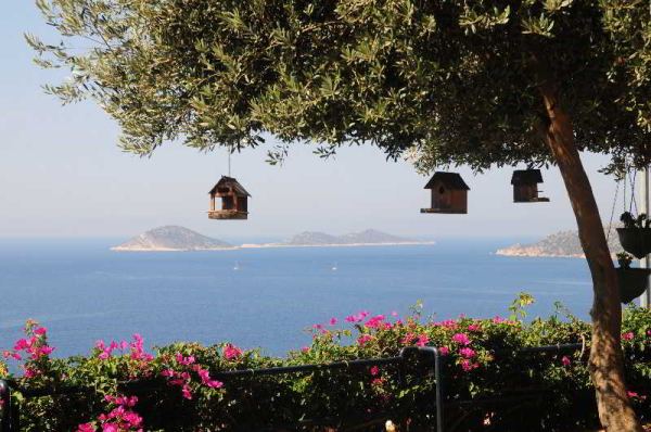 Best offers for Ekinhan Hotel Kalkan