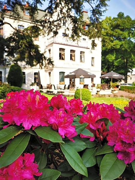 Best offers for Hotel Fryderyk Klodzko
