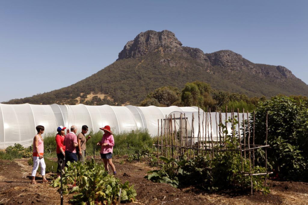 أفضل العروض ل فندق رويال ميل جرامبينس