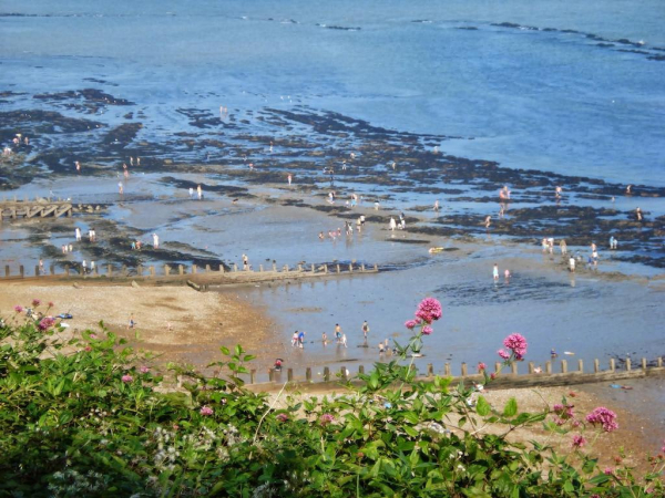 Best offers for Eastbourne Riviera Eastbourne 