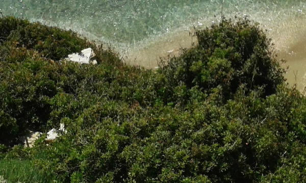 Best offers for Kipri Apartments Andros