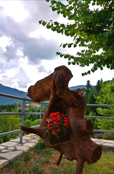 أفضل العروض ل  جالاكسيدي