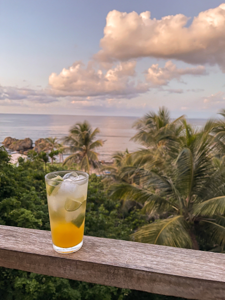 أفضل العروض ل  سينت جوسف