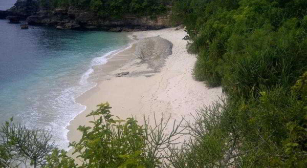 أفضل العروض ل ناناكس لمبونجان بانجالووس جزيرة بالي