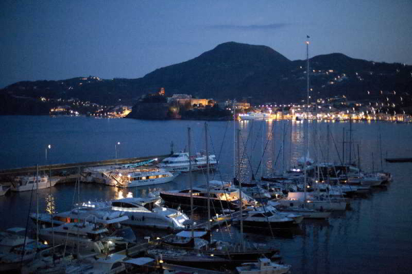 Best offers for A Pinnata Trapani