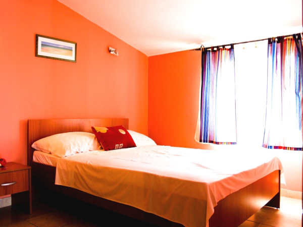 أفضل العروض ل نيكو أوكروج جورنجي