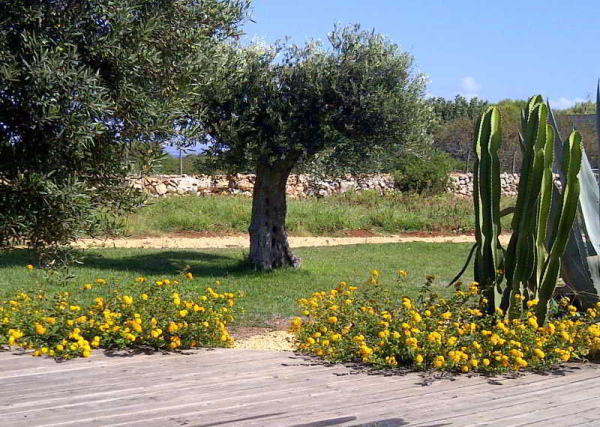 Best offers for Residence Lisola Trapani