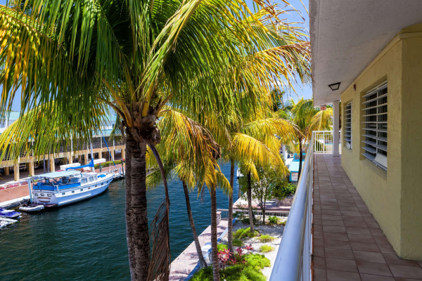 Best offers for Marina Del Mar Key Largo Florida Keys