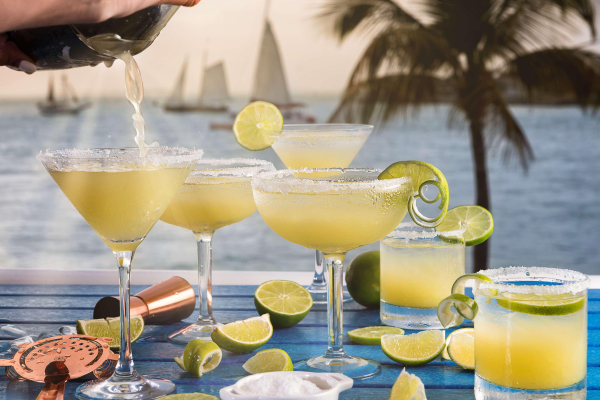 Best offers for Opal Key Resort and Marina Florida Keys