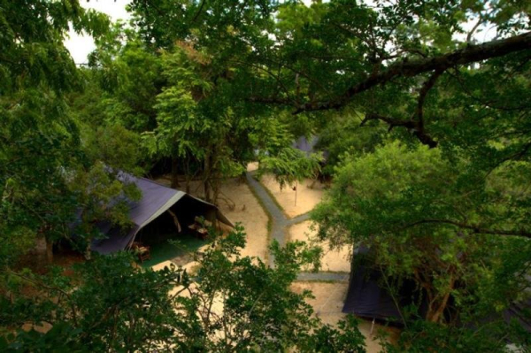 Best offers for Leopard Trails Yala