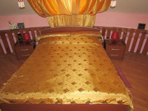 Best offers for Gladiator Vladimir 