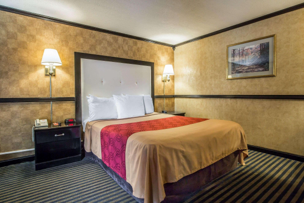 Best offers for Econo Lodge Montpelier I-89 Burlington City