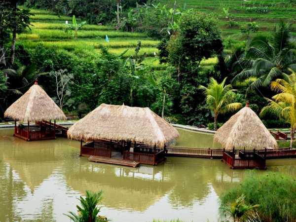 أفضل العروض ل منتجع ذ جهونس سيانجاراك يواتيك جزيرة بالي