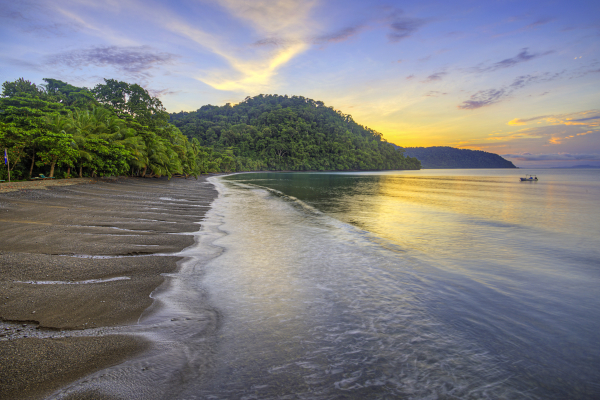 Best offers for Playa Nicuesa Rainforest Lodge South Pacific Beaches In Costa Rica