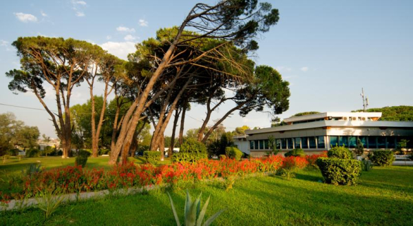 أفضل العروض ل منتجع تروبيكال دورس