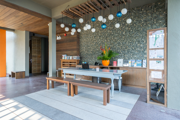 أفضل العروض ل  بتايا