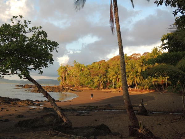 Best offers for Corcovado Adventures Tent Camp South Pacific Beaches In Costa Rica
