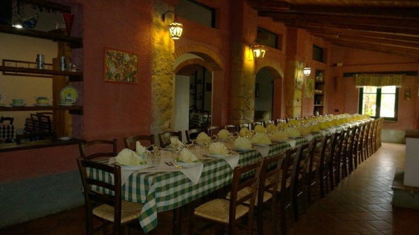 Best offers for Monte Alto Trapani