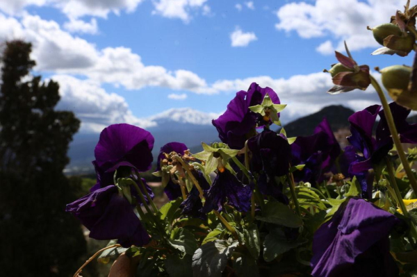 Best offers for Casa Cuseni Trapani