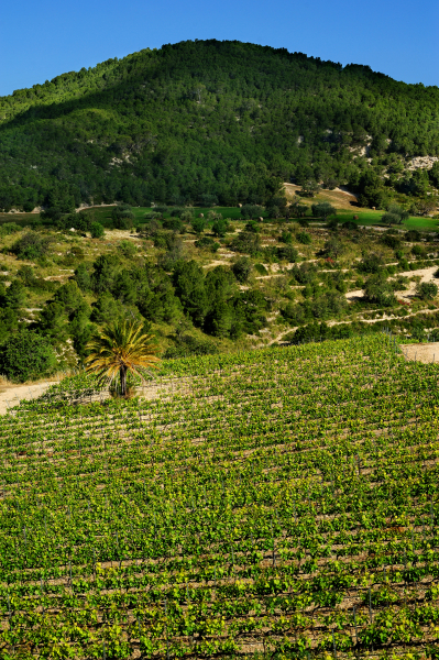 Best offers for Kallikoros Hotel Spa and Resort Trapani