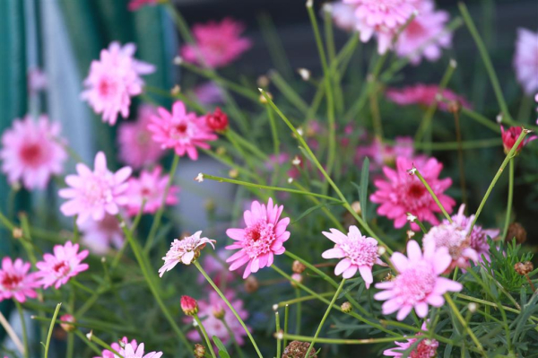 Best offers for Merimbula Sea Spray Motel South Coast