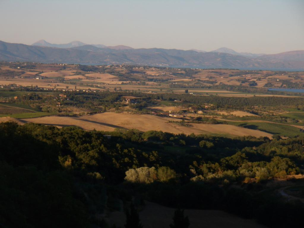 Best offers for Sangallo Siena