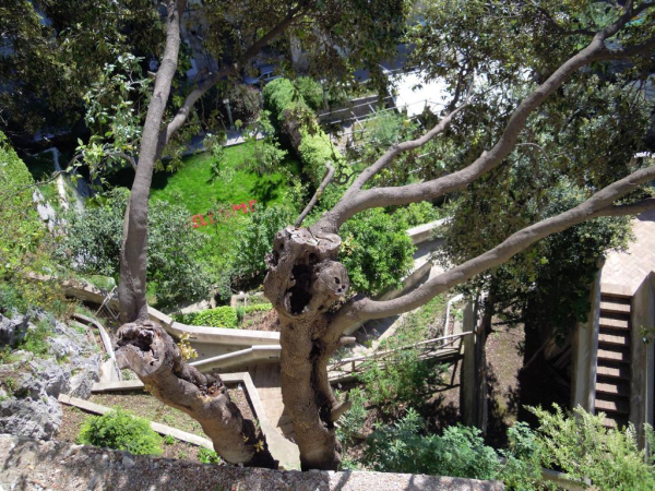 Best offers for Villa Lara Neapolitan Riviera