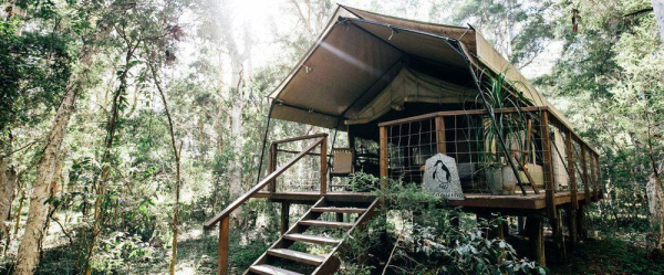 Best offers for Paperbark Camp South Coast