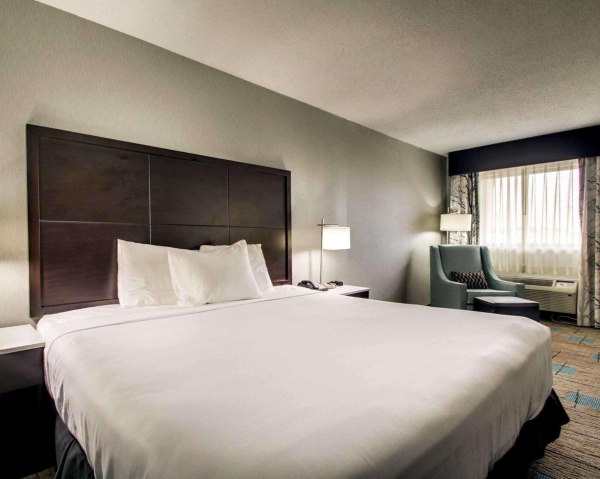 أفضل العروض ل سارستاي باى بست وسترن ريتشلاند ريتشلاند