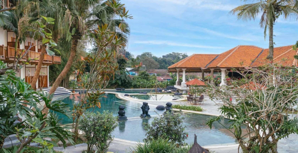Best offers for Novus Puncak