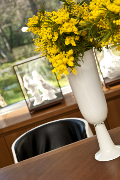 أفضل العروض ل  لاجكاديا