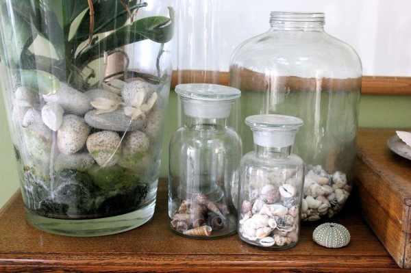 Best offers for 970 Lonely Bay Coromandel 