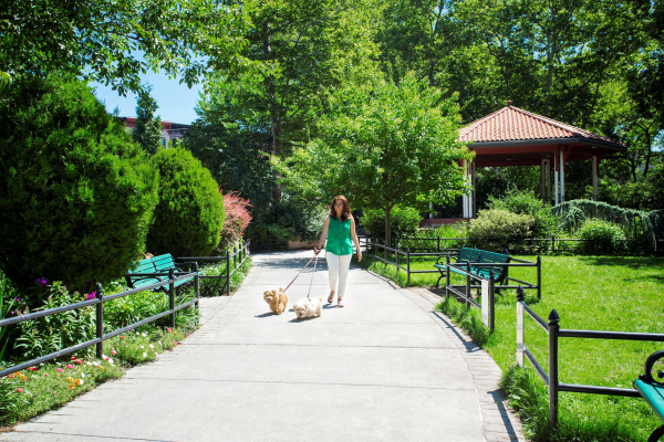 أفضل العروض ل هيات رجىنسى جرساي سيتىان ذ ه يودسون فورت لي 