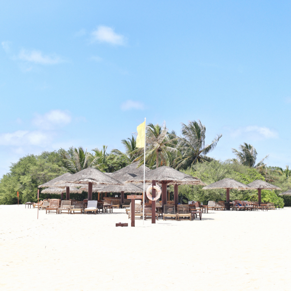 Best offers for Palm Beach Island Resort & Spa Maldives Lhaviyani