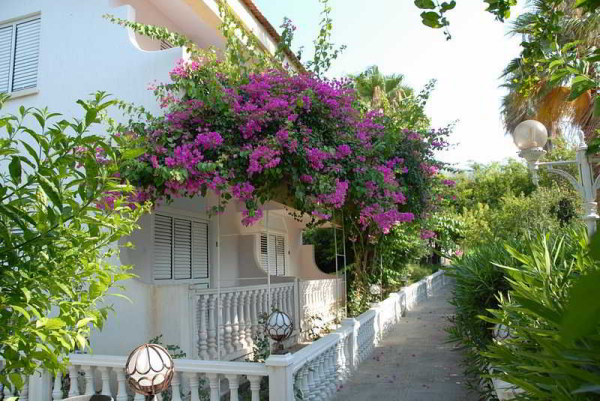 Best offers for Riverside Garden Resort Kyrenia