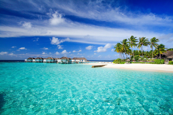 Best offers for Machchafushi Island Resort & Spa Maldives South Ari Atoll