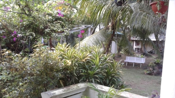 Best offers for Paradise Beach Club Mirissa Matara