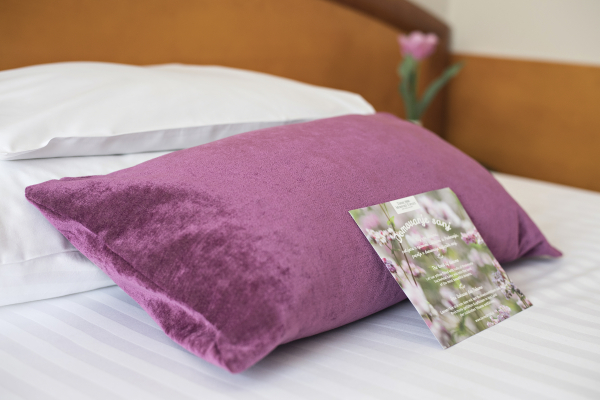Best offers for Ajda Moravske Toplice