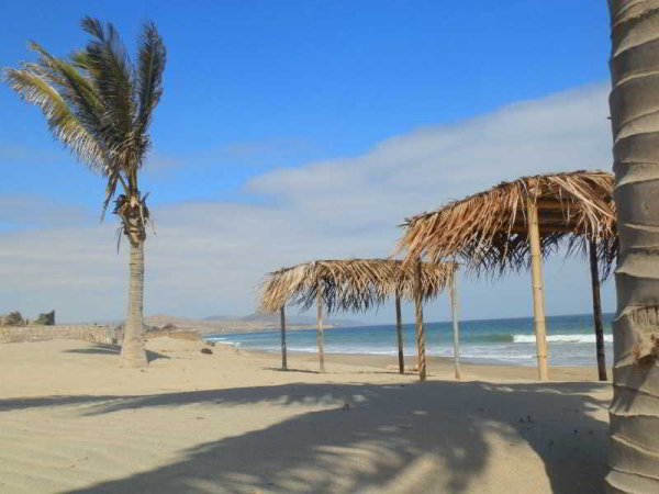 أفضل العروض ل  مانكورا