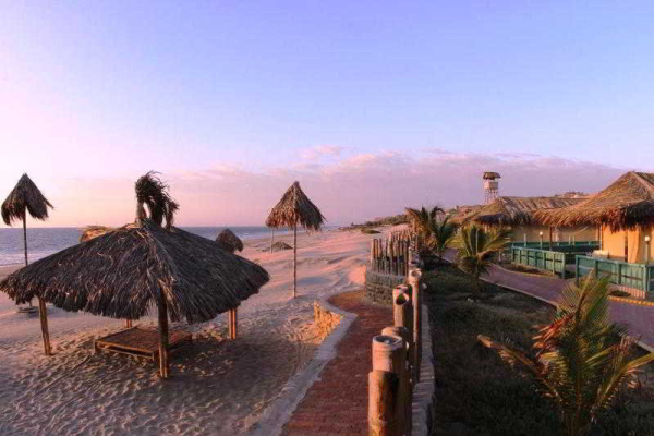 أفضل العروض ل  مانكورا