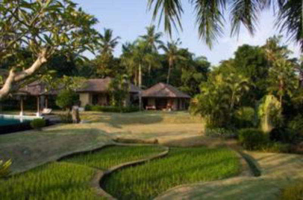 Best offers for The Lotus Residence Bali Island