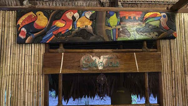 Best offers for On Vacation Amazon Leticia