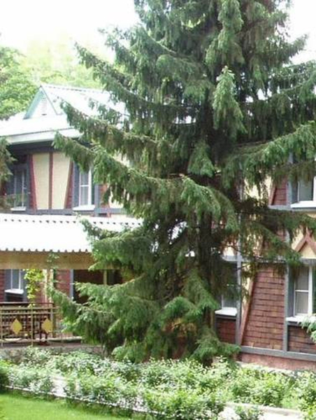 Best offers for Gorodok Samara