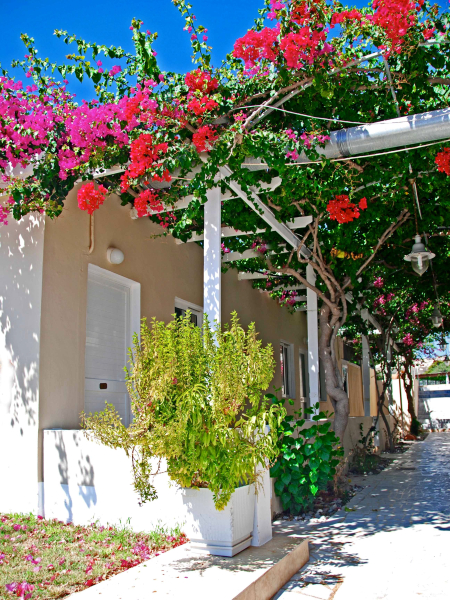 Best offers for Sacallis Inn Beach Hotel Kos