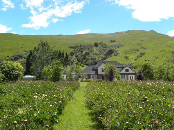 Best offers for Queenstown Country Lodge Queenstown