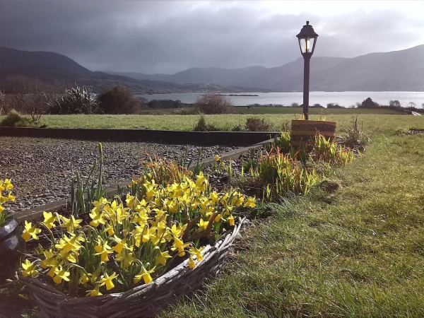 Best offers for Currane Lodge KERRY