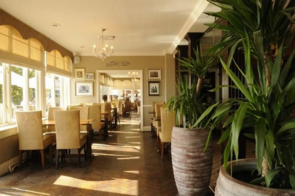 Best offers for Royal Albion Singlewell 