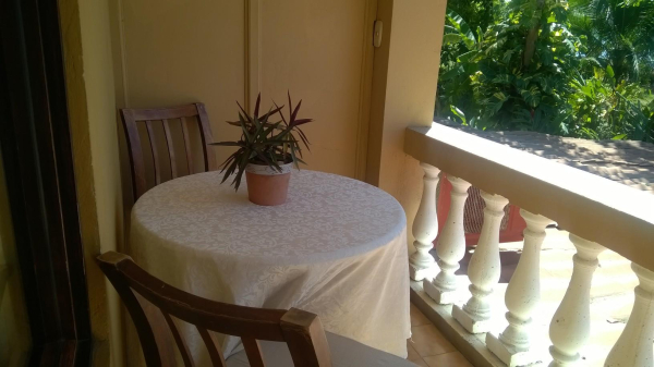 Best offers for Carara Central Pacific Beaches in Costa Rica