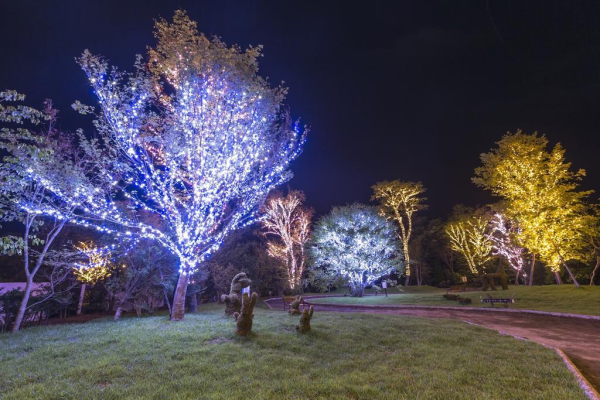 أفضل العروض ل  إيوات 