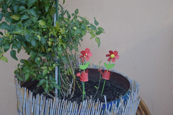 أفضل العروض ل فيلا رفرنزا سكالا كفالونياس